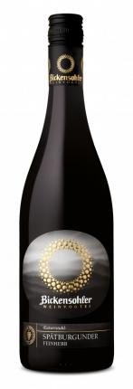 2019er Steinfelsen Spätburgunder Rotwein QbA feinherb  