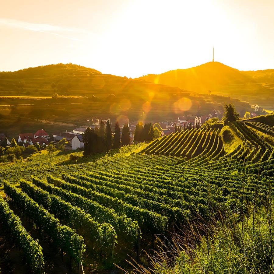 Im Herzen des Kaiserstuhls